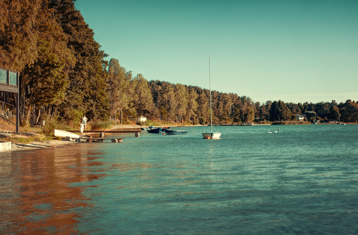 Borsuk 13 sierpień 2015 54 5 6 7 8