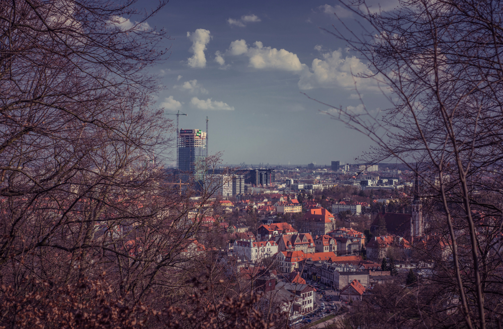 Pacholek 01 kwiecień 2017 95