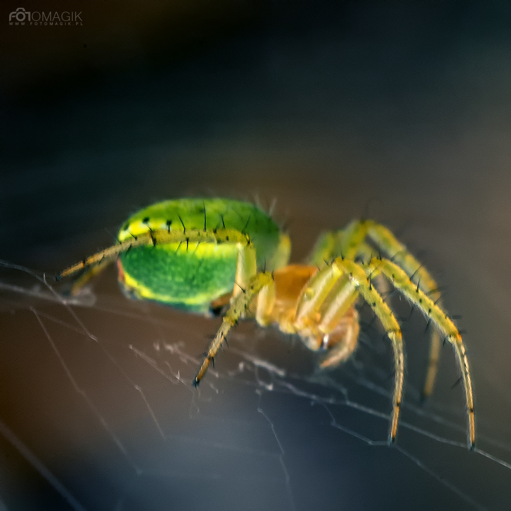 UrlopBorsk 15 lipiec 2016 836